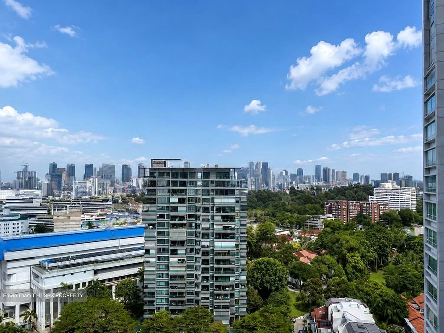 Park Infinia At Wee Nam (D11), Condominium #583958711